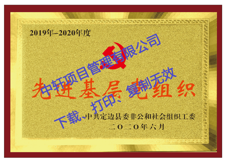 先进基层党组织